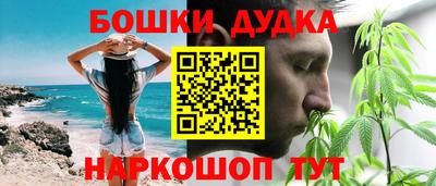 амф Кандалакша
