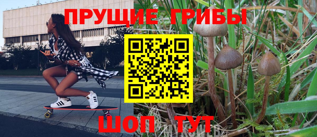 Галлюциногенные грибы прущие грибы Ливны